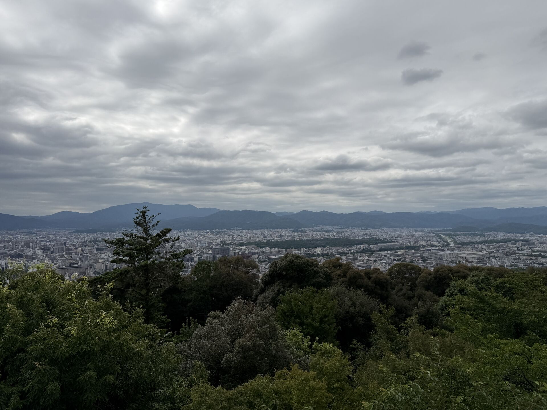 急に寒くなりましたね！